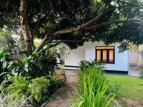 The Mango Retreat